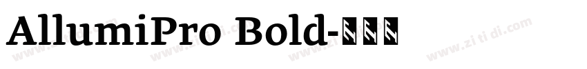 AllumiPro Bold字体转换